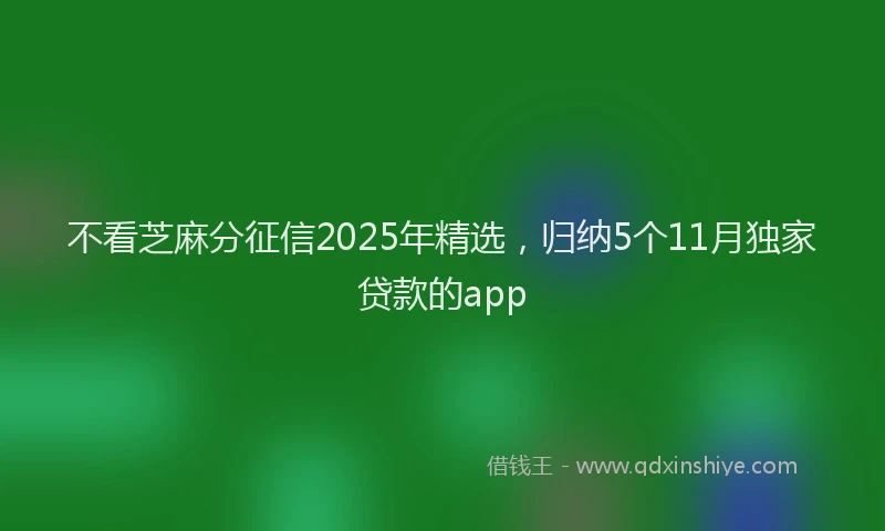 不看芝麻分征信2025年精选，归纳5个11月独家贷款的app