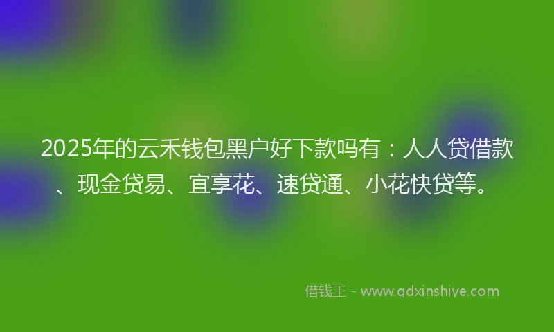 2025年的云禾钱包黑户好下款吗有：人人贷借款、现金贷易、宜享花、速贷通、小花快贷等。