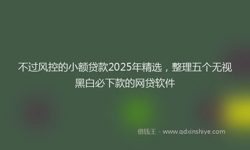 不过风控的小额贷款2025年精选，整理五个无视黑白必下款的网贷软件