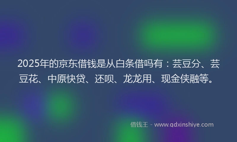 2025年的京东借钱是从白条借吗有：芸豆分、芸豆花、中原快贷、还呗、龙龙用、现金侠融等。
