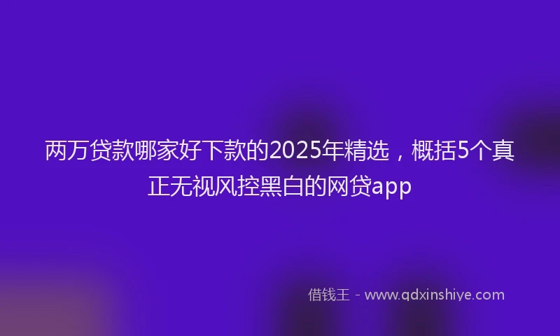 两万贷款哪家好下款的2025年精选，概括5个真正无视风控黑白的网贷app