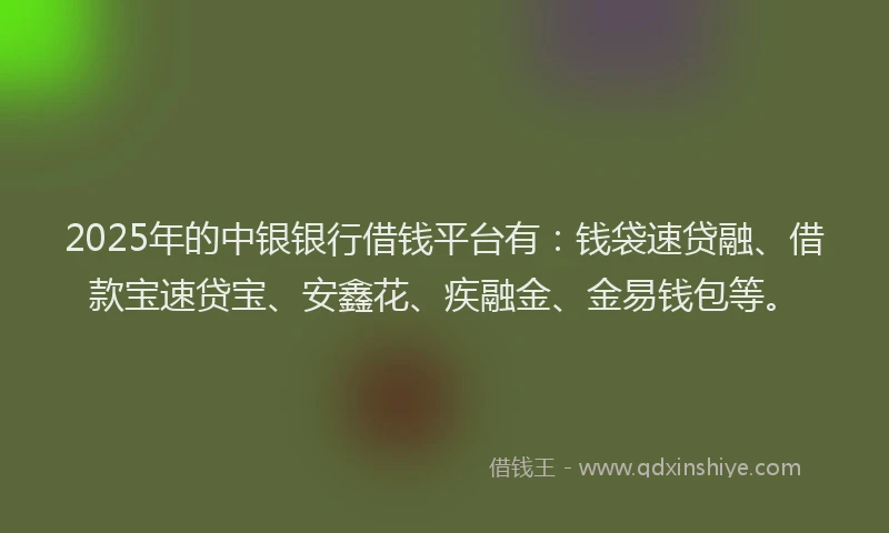 2025年的中银银行借钱平台有：钱袋速贷融、借款宝速贷宝、安鑫花、疾融金、金易钱包等。