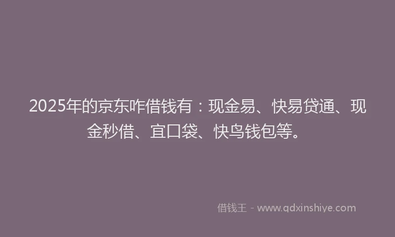 2025年的京东咋借钱有：现金易、快易贷通、现金秒借、宜口袋、快鸟钱包等。