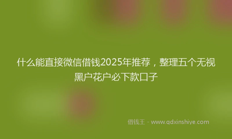 什么能直接微信借钱2025年推荐，整理五个无视黑户花户必下款口子