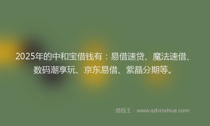 2025年的中和宝借钱有：易借速贷、魔法速借、数码潮享玩、京东易借、紫晶分期等。