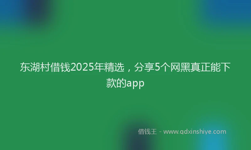 东湖村借钱2025年精选，分享5个网黑真正能下款的app