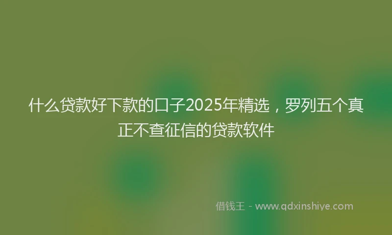 什么贷款好下款的口子2025年精选，罗列五个真正不查征信的贷款软件