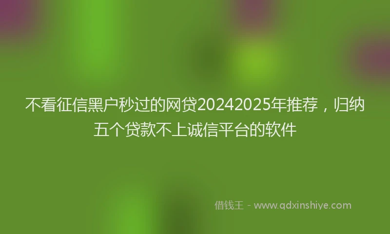 不看征信黑户秒过的网贷20242025年推荐，归纳五个贷款不上诚信平台的软件