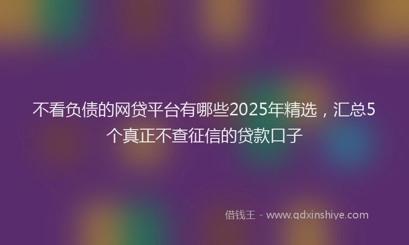 不看负债的网贷平台有哪些2025年精选，汇总5个真正不查征信的贷款口子