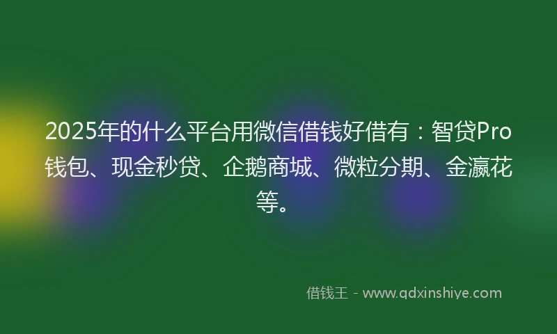 2025年的什么平台用微信借钱好借有：智贷Pro钱包、现金秒贷、企鹅商城、微粒分期、金瀛花等。