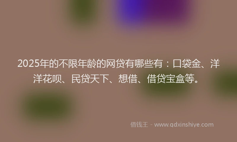 2025年的不限年龄的网贷有哪些有：口袋金、洋洋花呗、民贷天下、想借、借贷宝盒等。