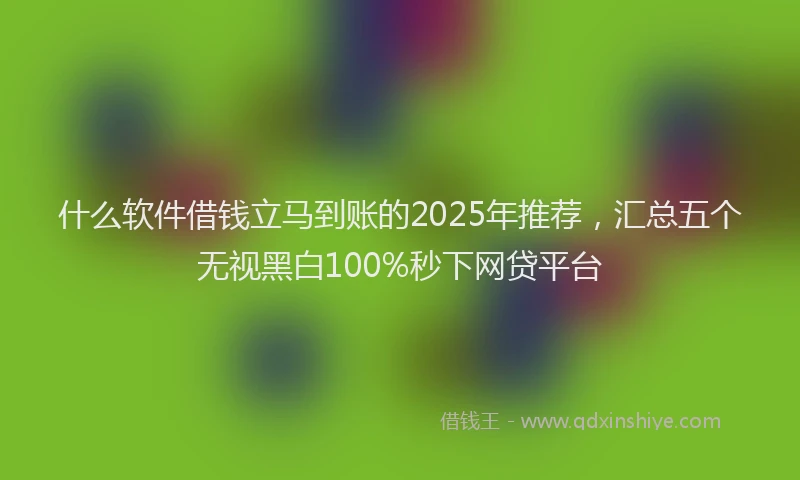 什么软件借钱立马到账的2025年推荐，汇总五个无视黑白100%秒下网贷平台