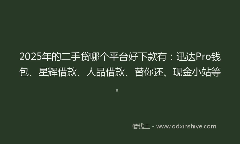 2025年的二手贷哪个平台好下款有：迅达Pro钱包、星辉借款、人品借款、替你还、现金小站等。