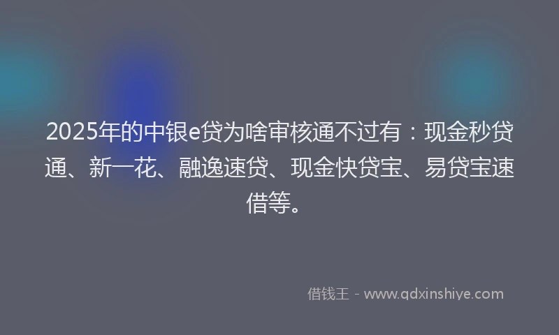 2025年的中银e贷为啥审核通不过有：现金秒贷通、新一花、融逸速贷、现金快贷宝、易贷宝速借等。