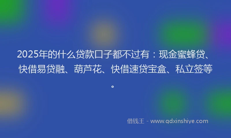 2025年的什么贷款口子都不过有：现金蜜蜂贷、快借易贷融、葫芦花、快借速贷宝盒、私立签等。
