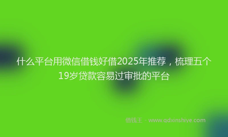 什么平台用微信借钱好借2025年推荐，梳理五个19岁贷款容易过审批的平台