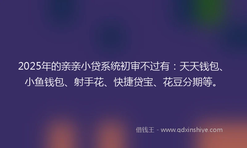 2025年的亲亲小贷系统初审不过有：天天钱包、小鱼钱包、射手花、快捷贷宝、花豆分期等。