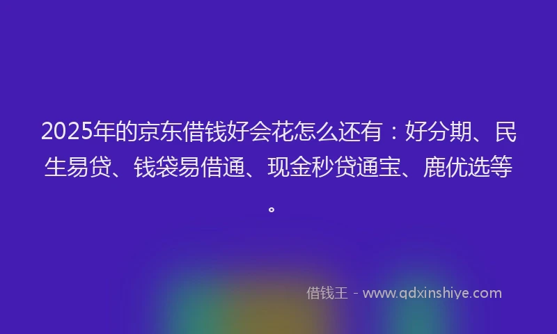 2025年的京东借钱好会花怎么还有：好分期、民生易贷、钱袋易借通、现金秒贷通宝、鹿优选等。