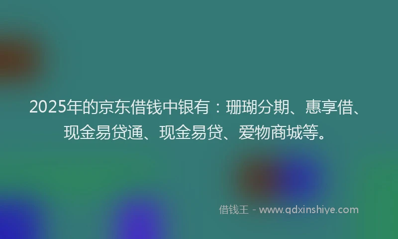 2025年的京东借钱中银有：珊瑚分期、惠享借、现金易贷通、现金易贷、爱物商城等。