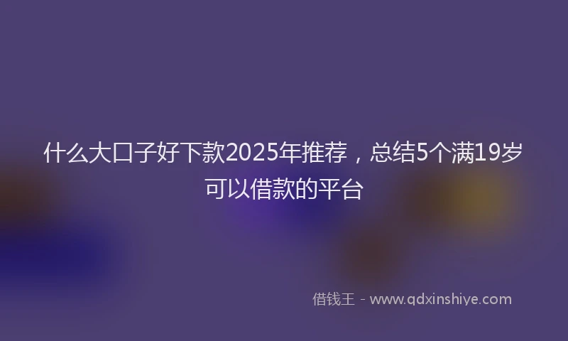 什么大口子好下款2025年推荐，总结5个满19岁可以借款的平台