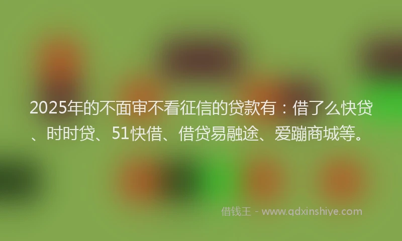 2025年的不面审不看征信的贷款有：借了么快贷、时时贷、51快借、借贷易融途、爱蹦商城等。