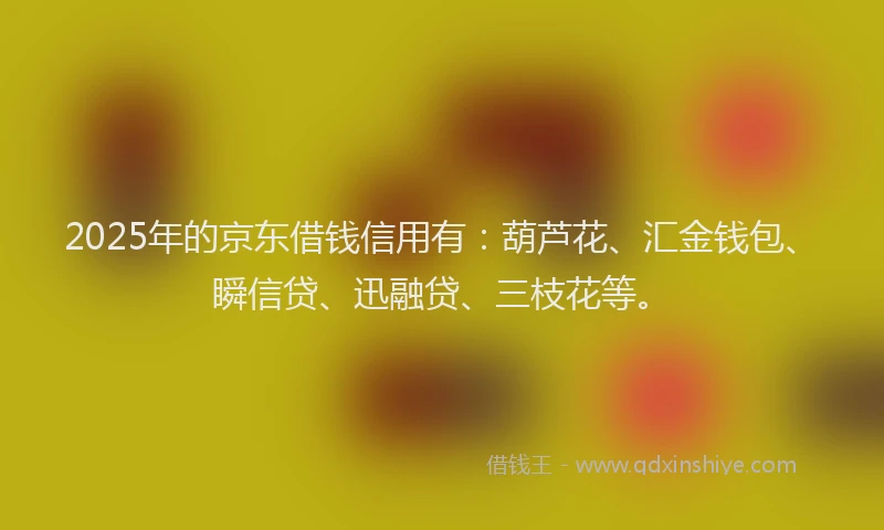 2025年的京东借钱信用有：葫芦花、汇金钱包、瞬信贷、迅融贷、三枝花等。