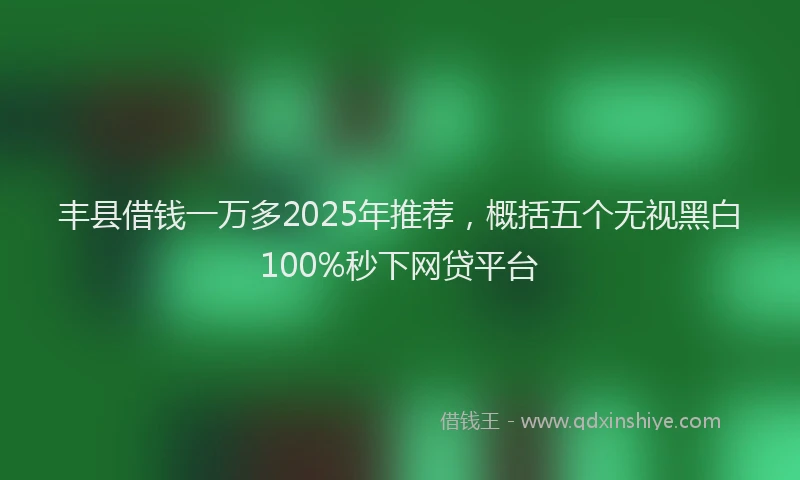 丰县借钱一万多2025年推荐，概括五个无视黑白100%秒下网贷平台