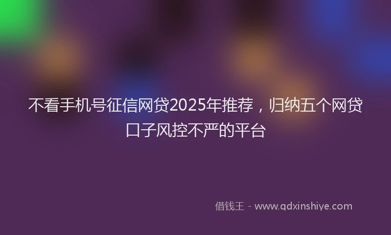 不看手机号征信网贷2025年推荐，归纳五个网贷口子风控不严的平台