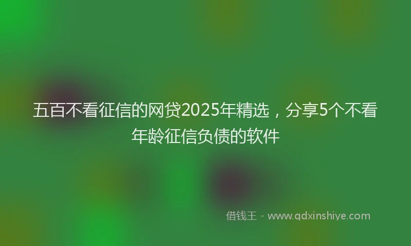 五百不看征信的网贷2025年精选，分享5个不看年龄征信负债的软件