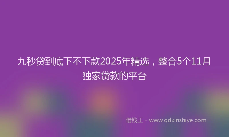 九秒贷到底下不下款2025年精选，整合5个11月独家贷款的平台