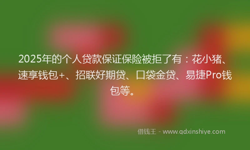 2025年的个人贷款保证保险被拒了有：花小猪、速享钱包+、招联好期贷、口袋金贷、易捷Pro钱包等。