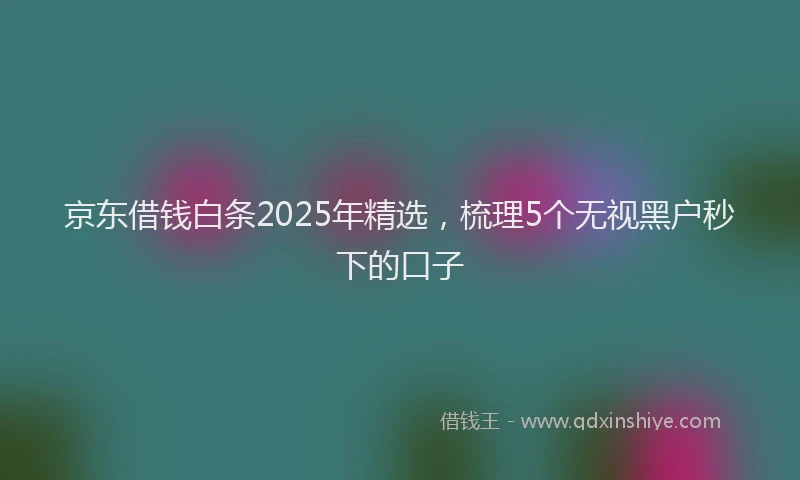 京东借钱白条2025年精选，梳理5个无视黑户秒下的口子