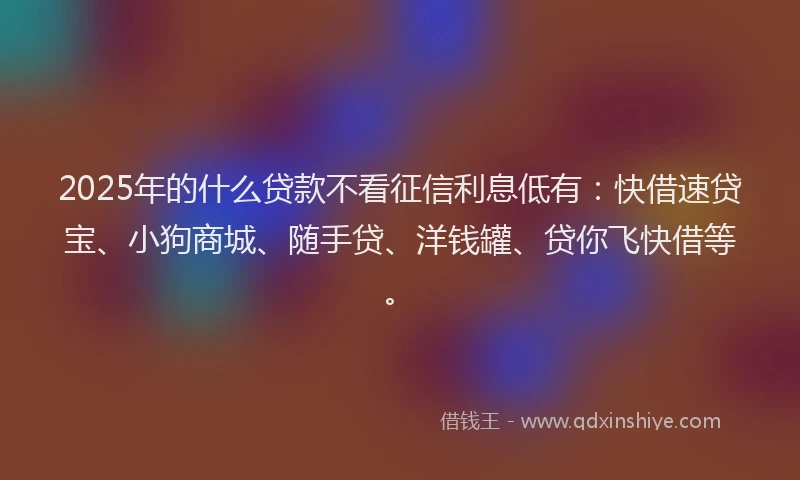 2025年的什么贷款不看征信利息低有：快借速贷宝、小狗商城、随手贷、洋钱罐、贷你飞快借等。