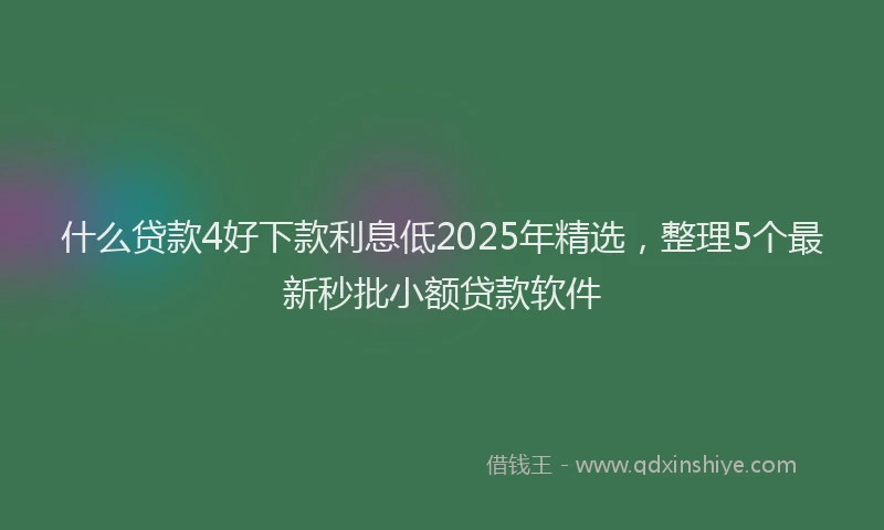 什么贷款4好下款利息低2025年精选，整理5个最新秒批小额贷款软件