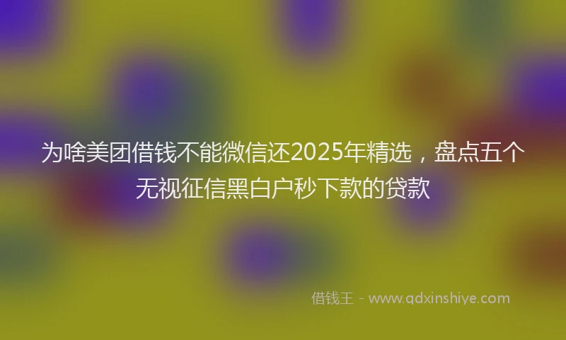 为啥美团借钱不能微信还2025年精选，盘点五个无视征信黑白户秒下款的贷款