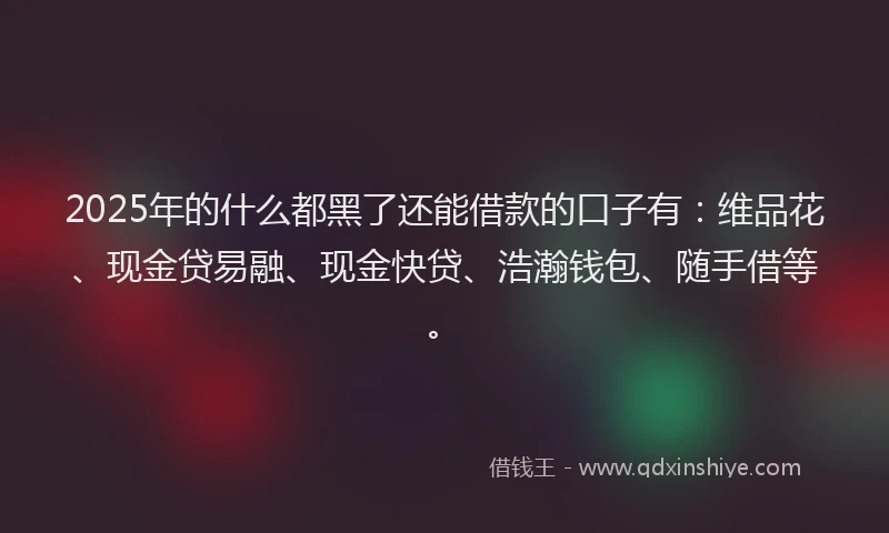 2025年的什么都黑了还能借款的口子有：维品花、现金贷易融、现金快贷、浩瀚钱包、随手借等。