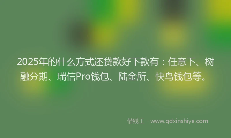 2025年的什么方式还贷款好下款有：任意下、树融分期、瑞信Pro钱包、陆金所、快鸟钱包等。