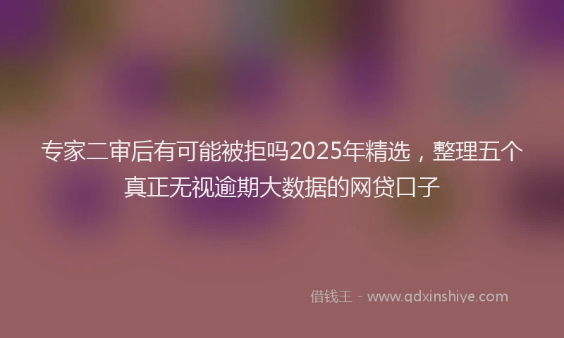 专家二审后有可能被拒吗2025年精选，整理五个真正无视逾期大数据的网贷口子