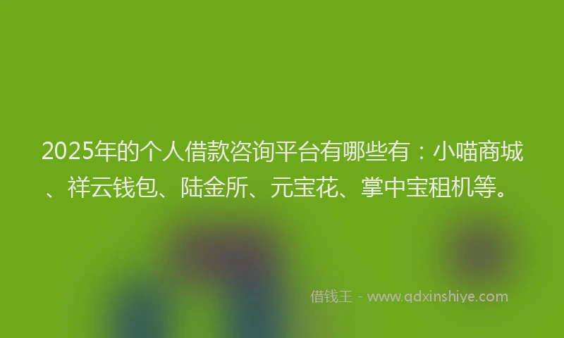 2025年的个人借款咨询平台有哪些有：小喵商城、祥云钱包、陆金所、元宝花、掌中宝租机等。