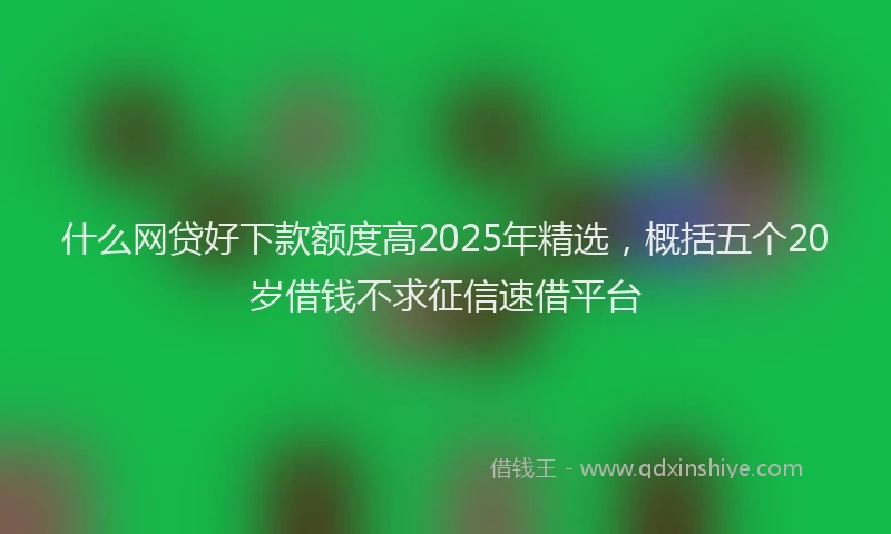 什么网贷好下款额度高2025年精选，概括五个20岁借钱不求征信速借平台
