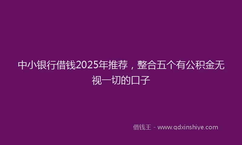 中小银行借钱2025年推荐，整合五个有公积金无视一切的口子