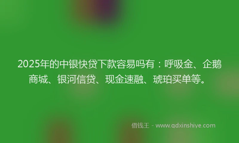 2025年的中银快贷下款容易吗有：呼吸金、企鹅商城、银河信贷、现金速融、琥珀买单等。