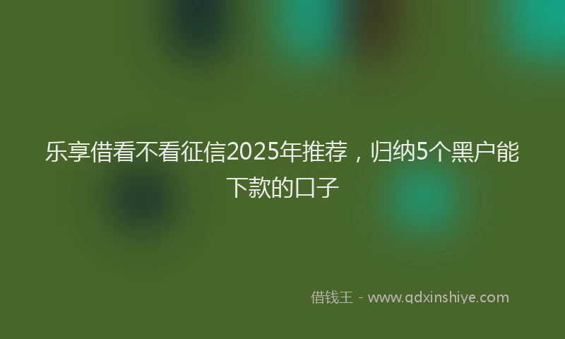 乐享借看不看征信2025年推荐，归纳5个黑户能下款的口子