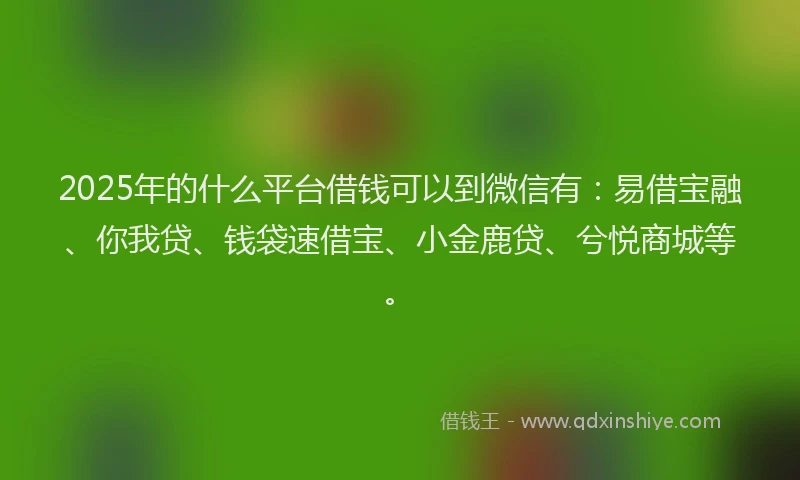 2025年的什么平台借钱可以到微信有：易借宝融、你我贷、钱袋速借宝、小金鹿贷、兮悦商城等。