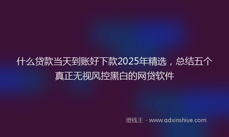 什么贷款当天到账好下款2025年精选，总结五个真正无视风控黑白的网贷软件