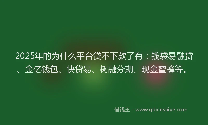 2025年的为什么平台贷不下款了有：钱袋易融贷、金亿钱包、快贷易、树融分期、现金蜜蜂等。