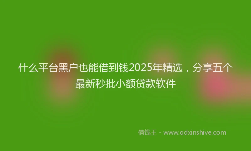 什么平台黑户也能借到钱2025年精选，分享五个最新秒批小额贷款软件