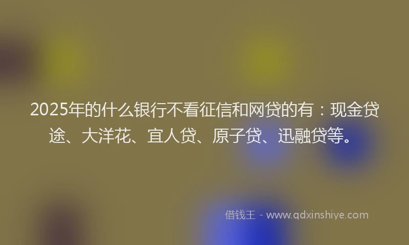 2025年的什么银行不看征信和网贷的有：现金贷途、大洋花、宜人贷、原子贷、迅融贷等。