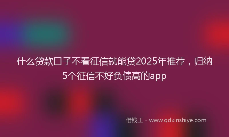 什么贷款口子不看征信就能贷2025年推荐，归纳5个征信不好负债高的app