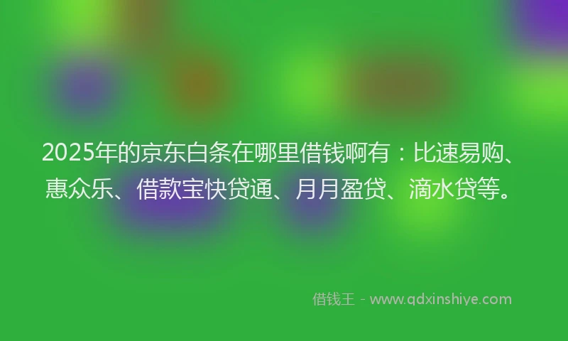 2025年的京东白条在哪里借钱啊有：比速易购、惠众乐、借款宝快贷通、月月盈贷、滴水贷等。